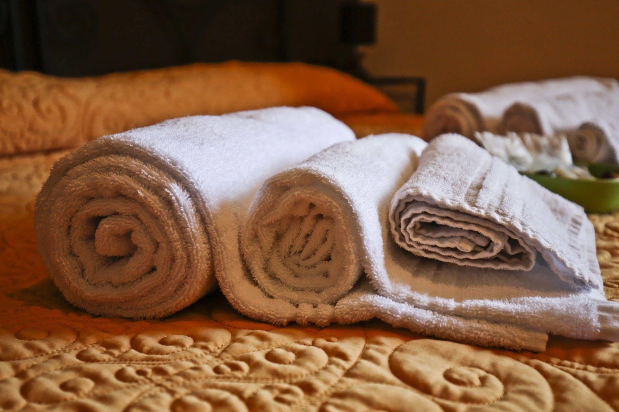 Hotel Villa Maria Luigia Frascati Eksteriør billede