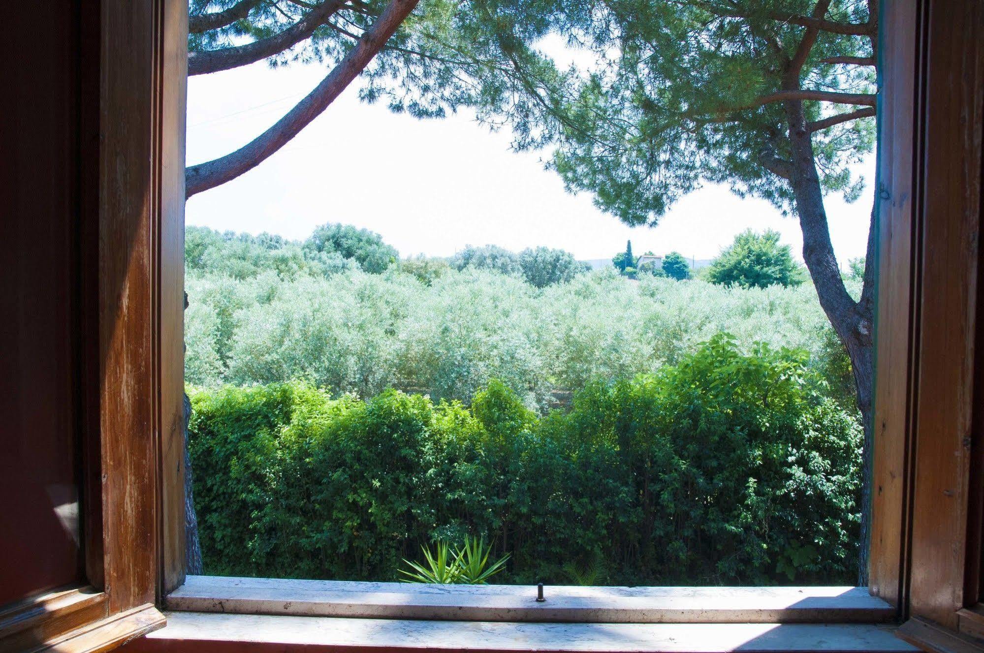 Hotel Villa Maria Luigia Frascati Eksteriør billede