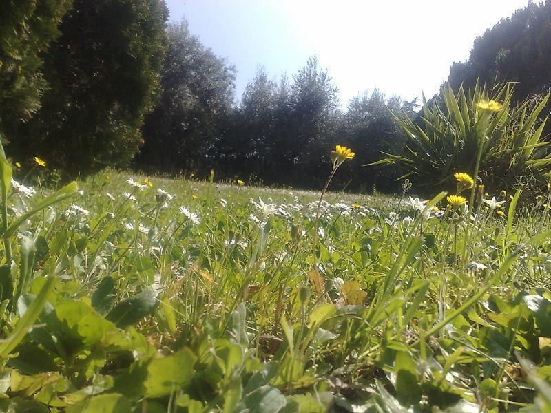 Hotel Villa Maria Luigia Frascati Eksteriør billede