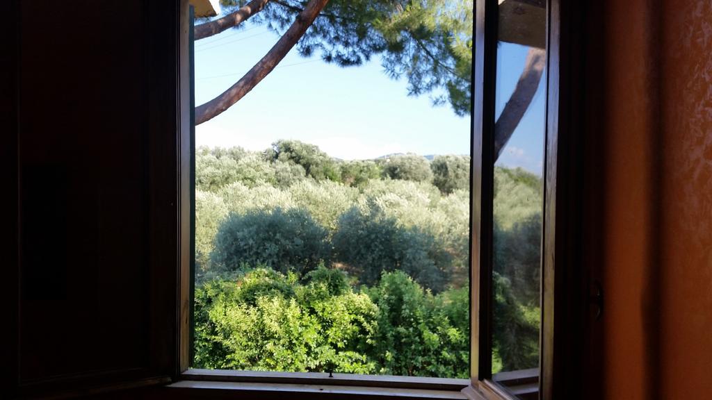 Hotel Villa Maria Luigia Frascati Værelse billede
